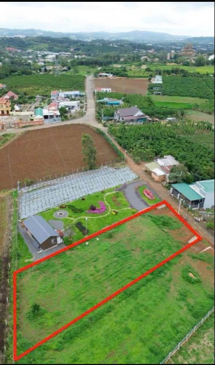 Đất nền sổ hồng riêng tại xã Đức Trọng, Lâm Đồng - Diện tích 1.034m², giá chỉ 1.75 tỷ!
