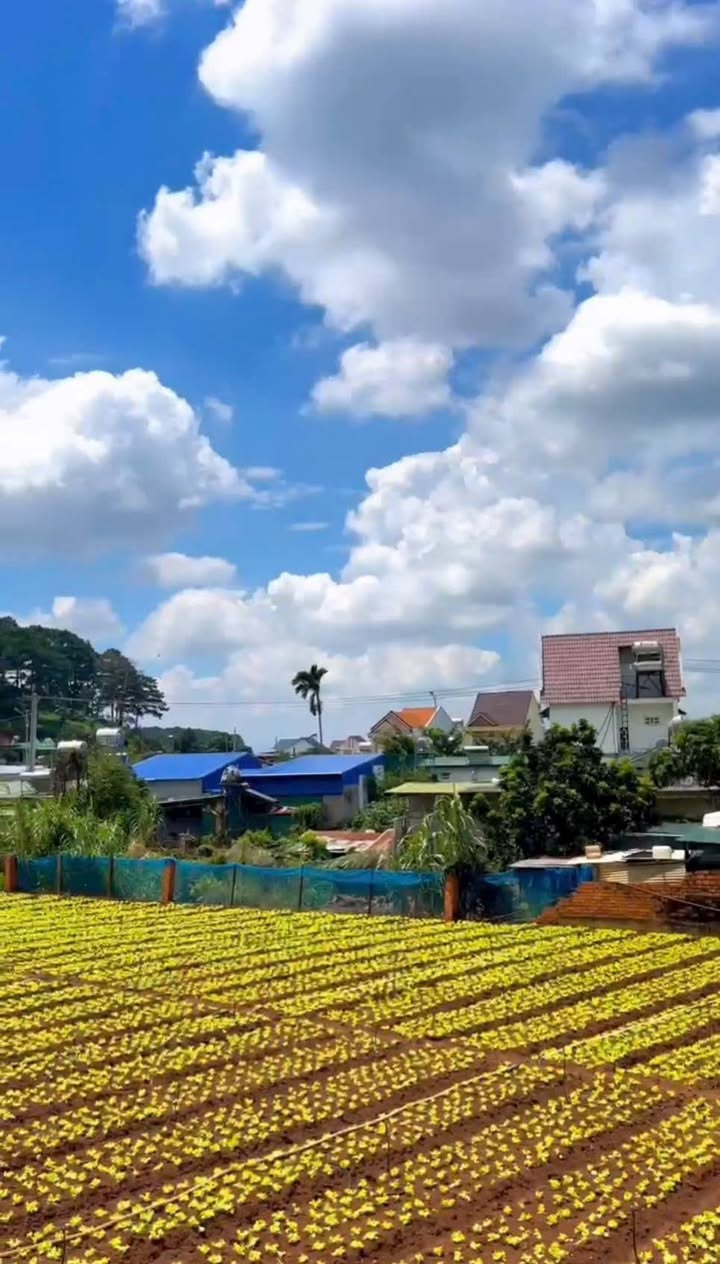 Đất nền Hiệp Thạnh, Đức Trọng 334m² giá 2.2 tỷ - Đầu tư sinh lời ngay!