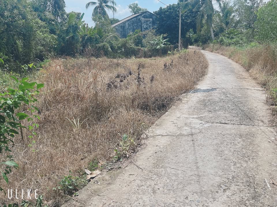 Đất nền Tân Hội - Vĩnh Long 160m² giá 350 triệu - Cơ hội đầu tư sinh lời!