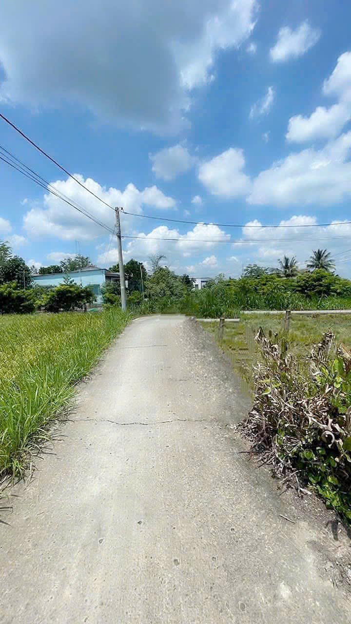 Đất thổ cư Tân Trụ Long An 245m² giá 699 triệu - Sổ hồng chính chủ