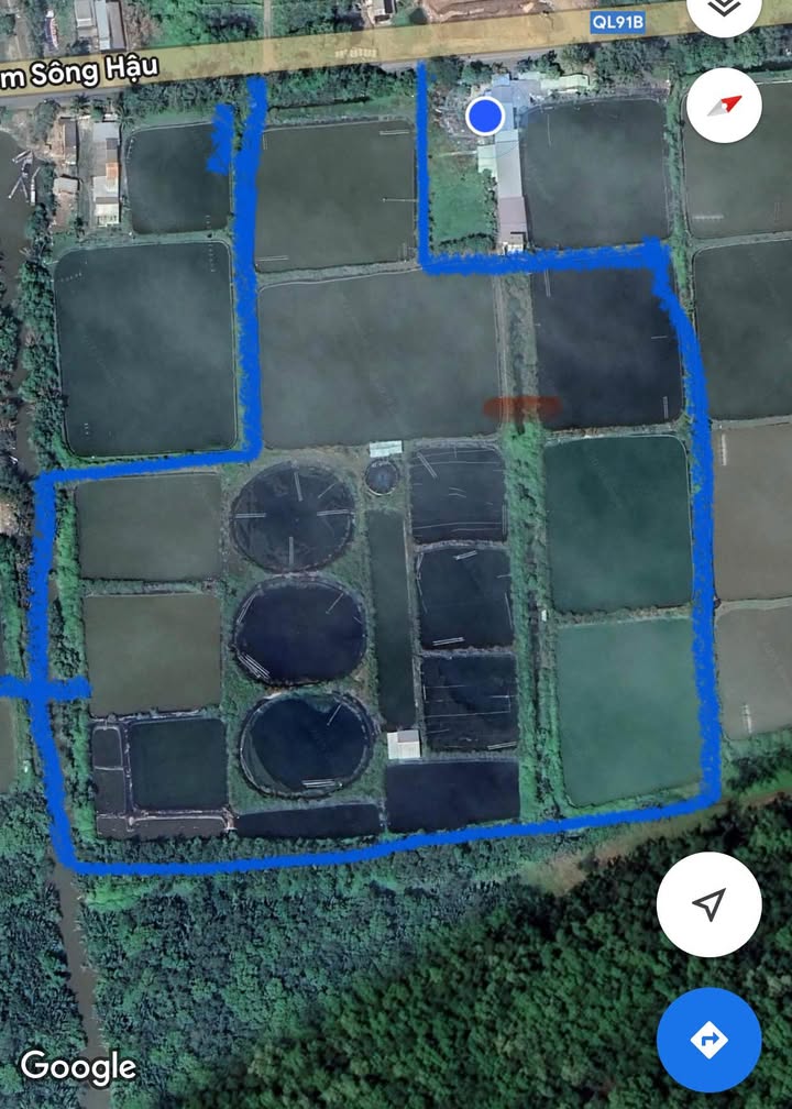 Cho thuê Farm 7ha tại Quốc lộ Nam Sông Hậu, Trần Đề - Đầu tư sinh lời ngay!