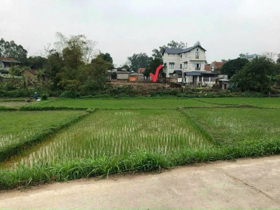 Đất nền chính chủ tại Thôn Giữa, Quất Lưu, 130m² chỉ 1.2 tỷ - Cơ hội đầu tư hấp dẫn!