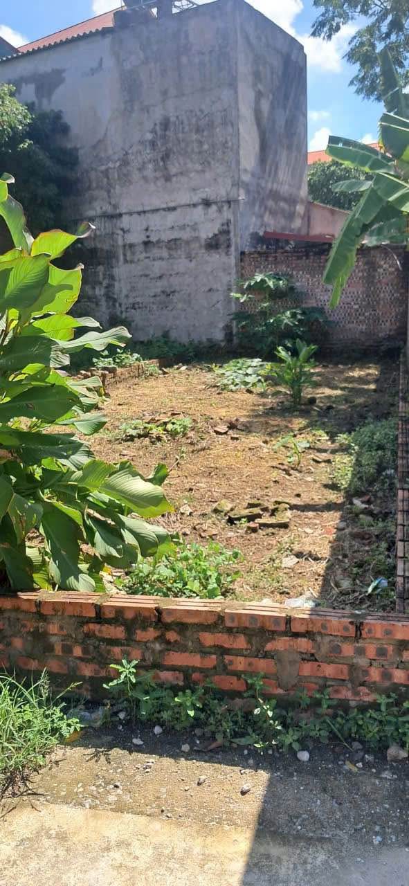 Đất nền Ninh Xá - Thuận Thành 47m² giá 1 tỷ - Sổ đỏ chính chủ, đầu tư sinh lời!