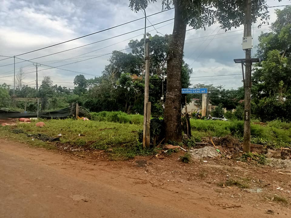 Đất nền chính chủ xã Ia Yok 203m² giá chỉ 700 triệu - Cơ hội đầu tư hấp dẫn!