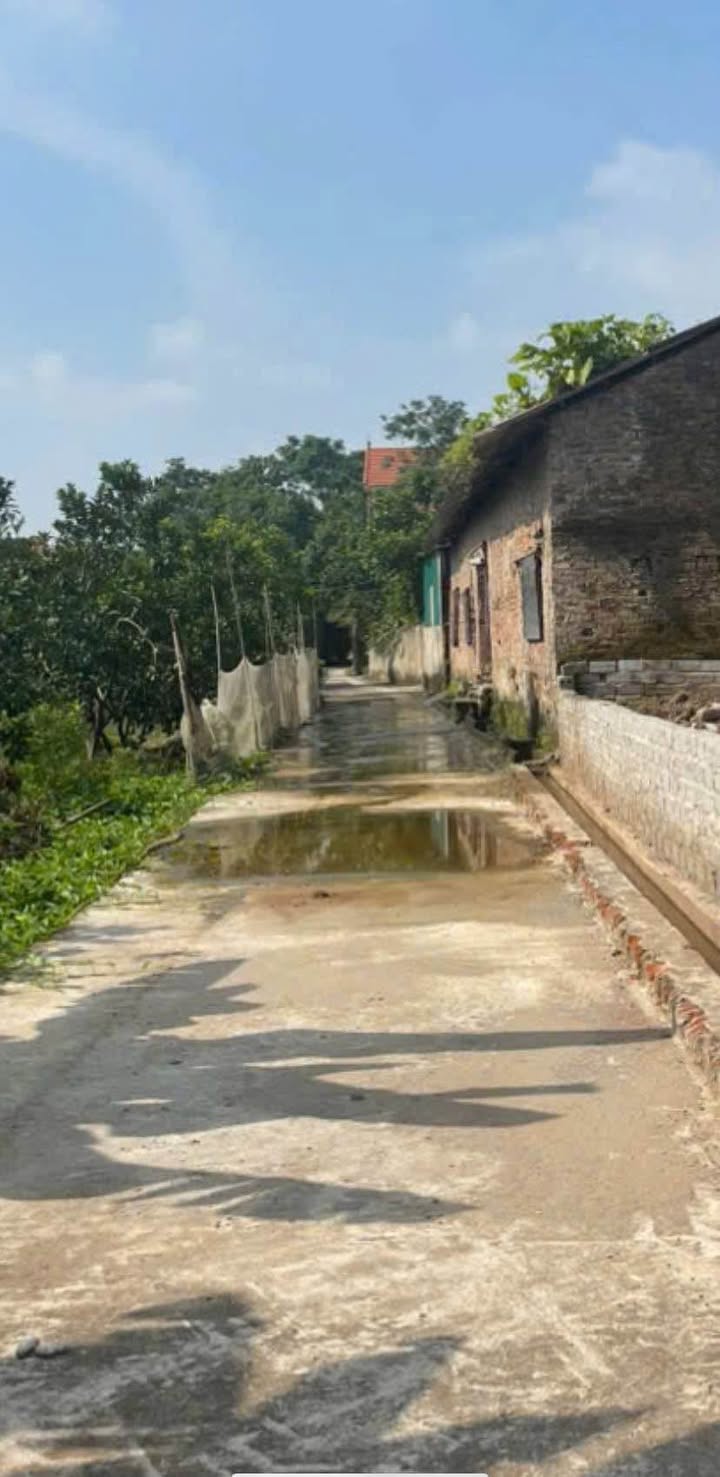 Đất thổ cư Phú Xuyên 80m² giá 2.2 tỷ - Đường ô tô vào tận nơi!