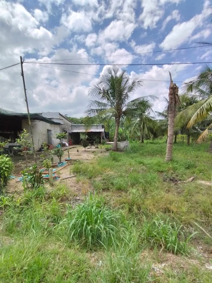 Đất nền mặt tiền KP Lộc Trát, Gia Lộc, Trảng Bàng 170m² - Tiềm năng đầu tư lớn!