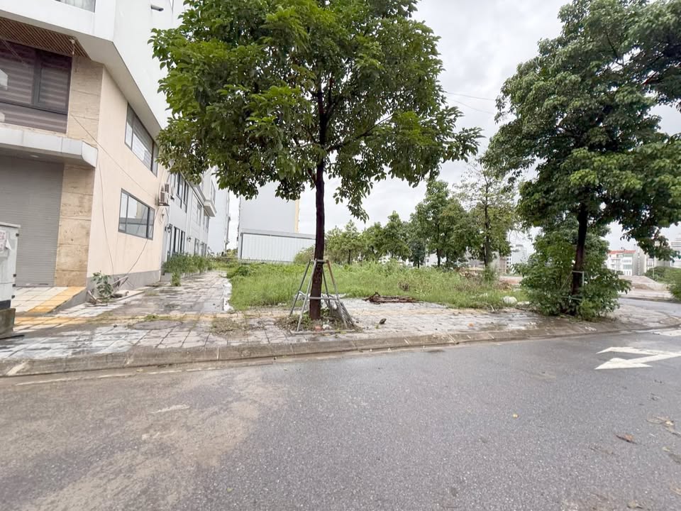 Đất nền Khu VIP Vườn Đào Uy Nỗ 110m² - Vị trí đắc địa, giá thương lượng!