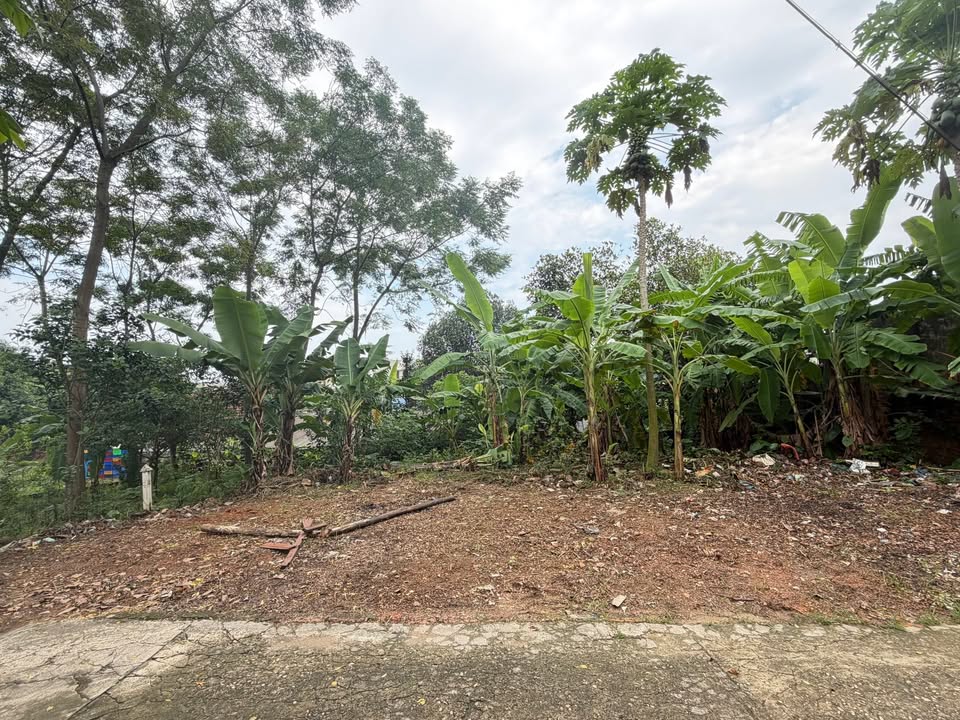 Đất thổ cư Băng 2 Nguyễn Du 118m² giá 2 tỷ - Hướng Tây Bắc, tiện ích đầy đủ!