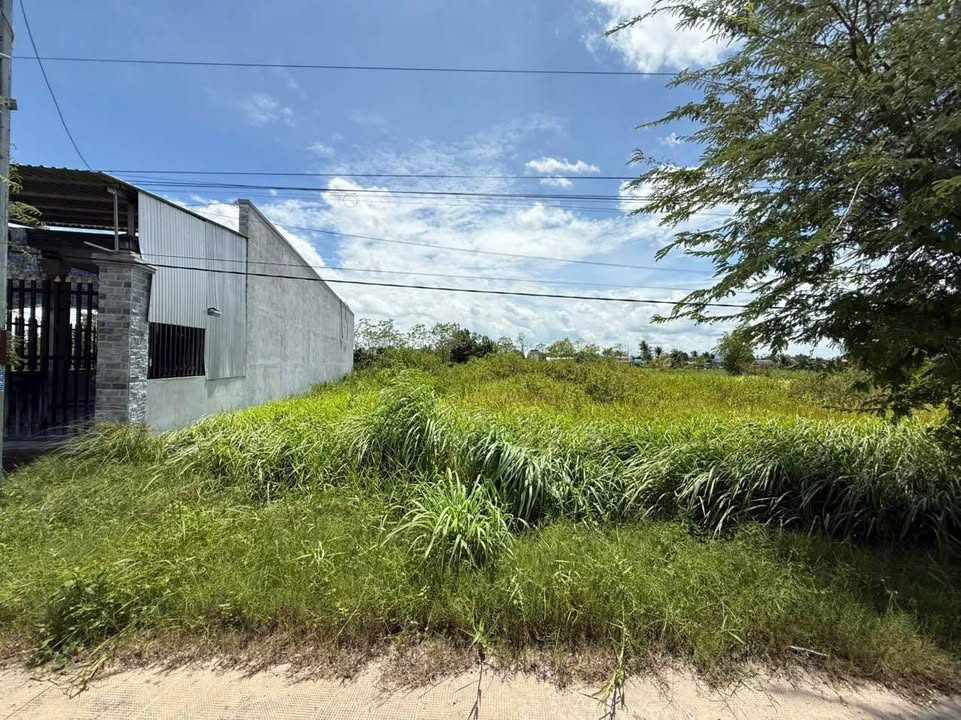 Đất thổ cư Cần Giuộc 150m² giá 1.6 tỷ - Vị trí đẹp, giao thông thuận lợi!