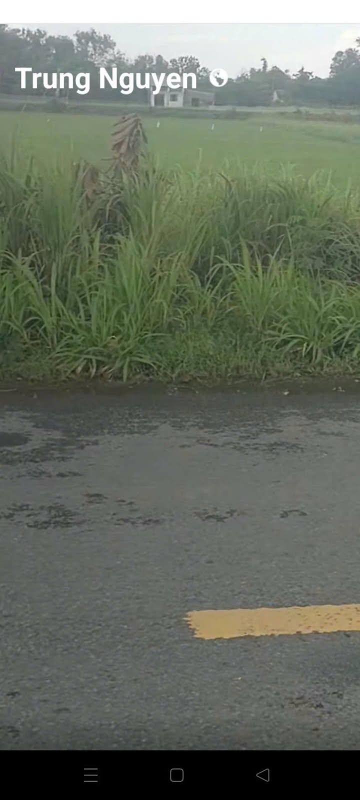 Đất nền Long Hữu 1003m² giá 1.53 tỷ - Đầu tư sinh lời ngay!