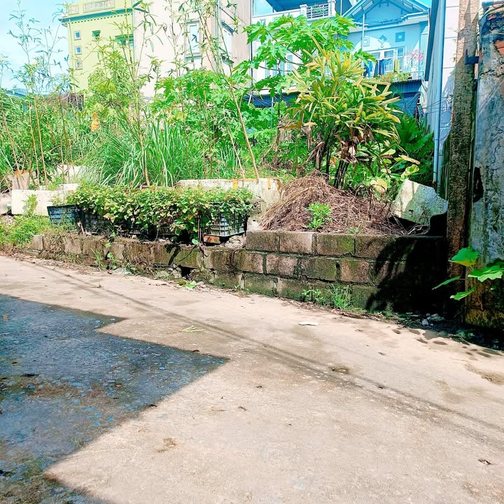 Đất nền Quang Hanh 64.1m² giá 910 triệu - Cơ hội vàng cho đầu tư!