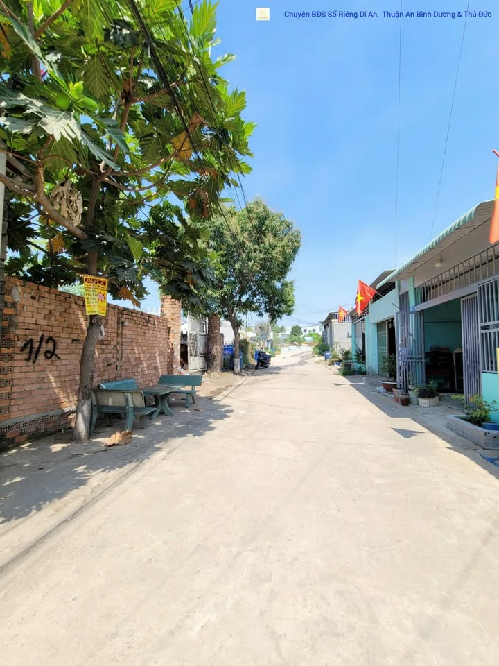 Đất thổ cư 808,7m² tại Tân Bình, Dĩ An - Giá chỉ 9,8 tỷ - Cơ hội vàng đầu tư!