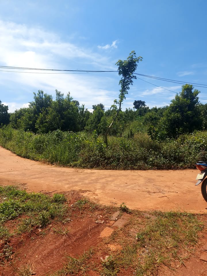 Đất thổ cư góc 2 mặt tiền tại Thôn Phúc Tân, Lâm Hà - Chỉ 2.4 tỷ