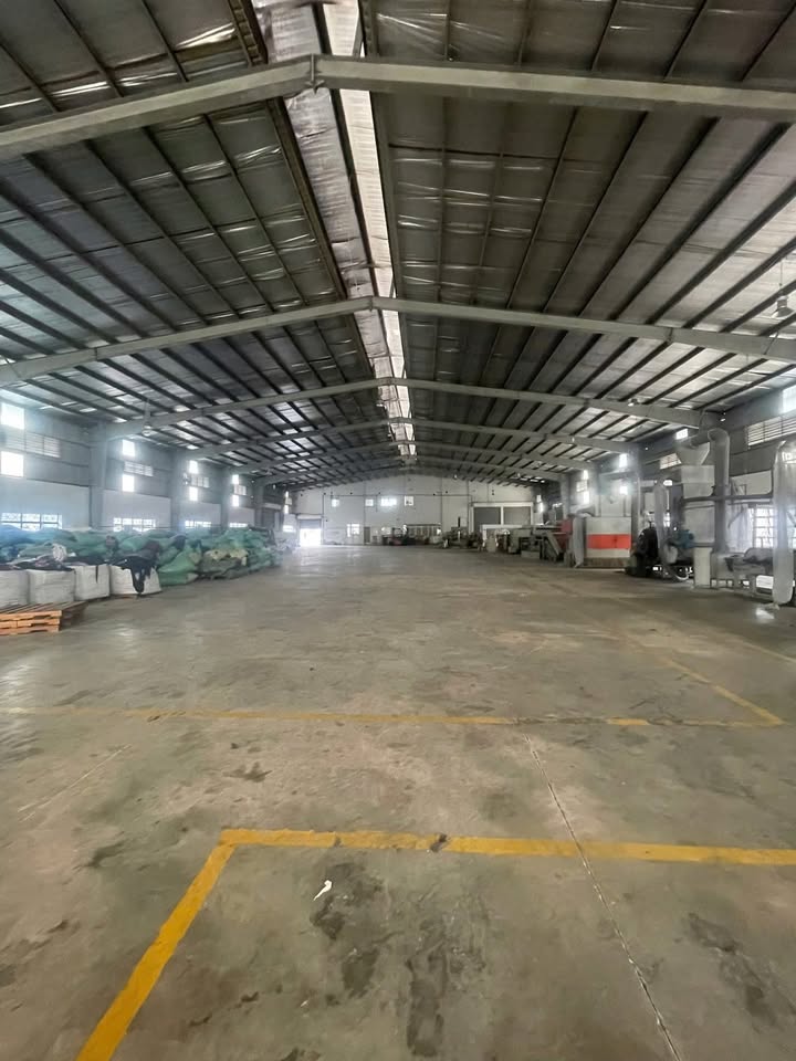 Cho thuê xưởng 2300m² tại Tân Phước Khánh - Giá 180 triệu/tháng, pháp lý đầy đủ!