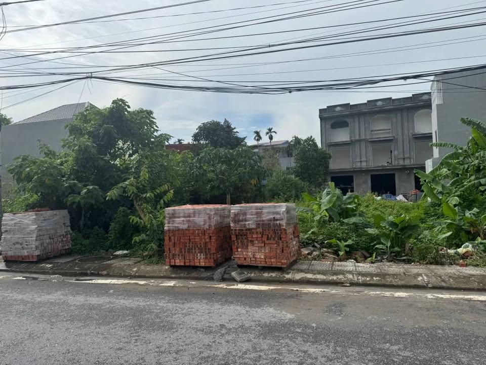 Đất nền Đặng Cương An Dương 239m² - Đầu tư sinh lời ngay hôm nay!