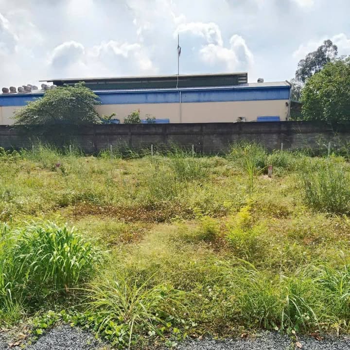 Đất nền Củ Chi 85m² giá 1,95 tỷ - Sổ đỏ chính chủ, xây dựng tự do!