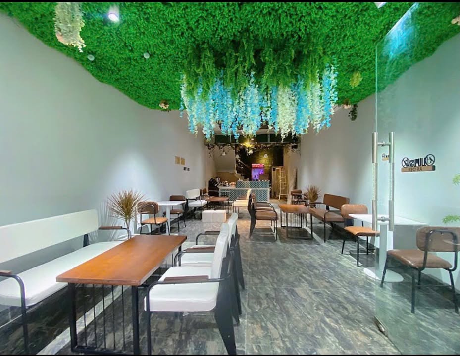 FrontHouse Tô Hiệu Đà Nẵng 65m² giá 5.1 tỷ - Đầu tư sinh lời cực hấp dẫn!