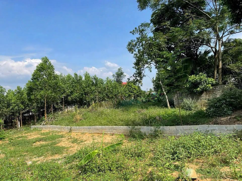 Đất nền Cự Đồng, Thanh Sơn 190m² chỉ 299 triệu - Vị trí đẹp gần quốc lộ!