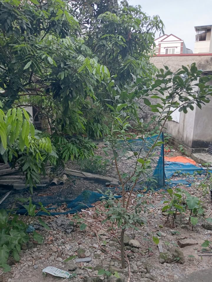 Đất nền thôn Cam, Cổ Bi, Gia Lâm 39m² giá 3 tỷ - Khu vực phát triển vượt bậc!