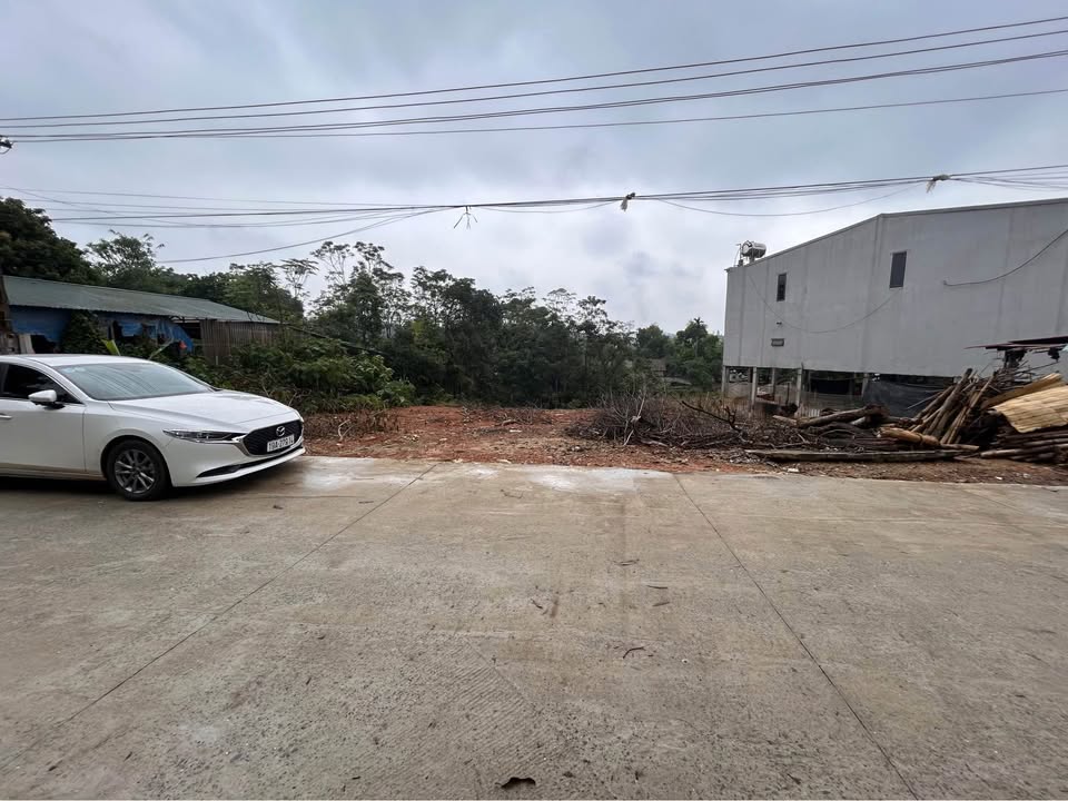 Đất nền Phong Châu, Phú Thọ 125m² giá chỉ 700 triệu - Đầu tư sinh lời ngay!