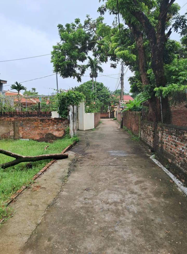 Đất thổ cư 140m² tại Phú Cường, Ba Vì - Giá chỉ 1 tỷ, sổ đỏ chính chủ!