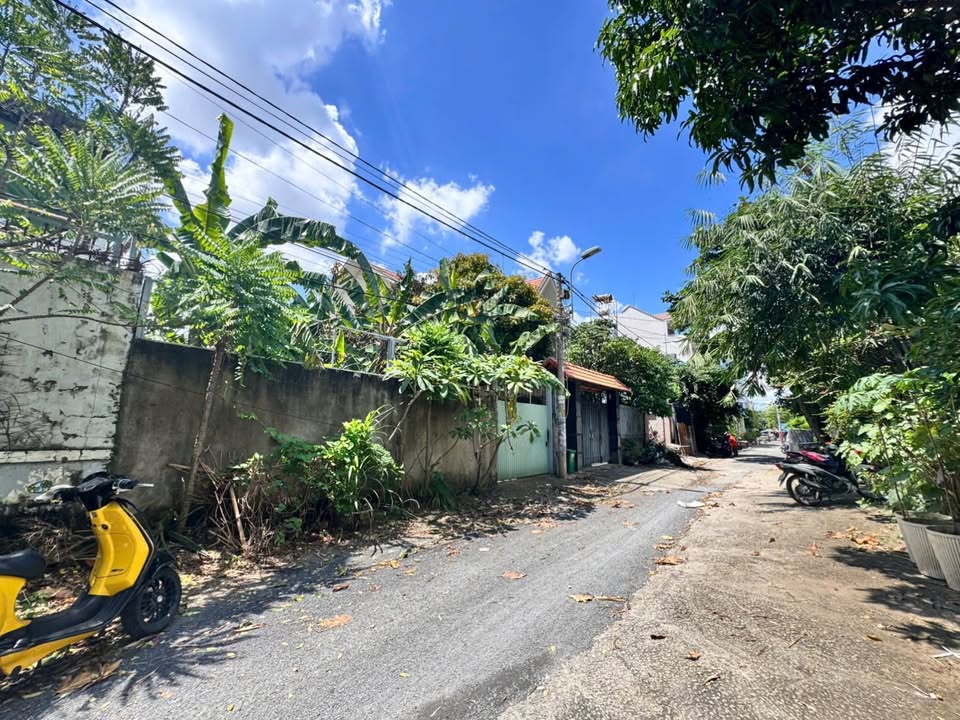 Đất nền đường số 5, Hiệp Bình Chánh, Thủ Đức 207m² - Giá tốt, thương lượng thiện chí!