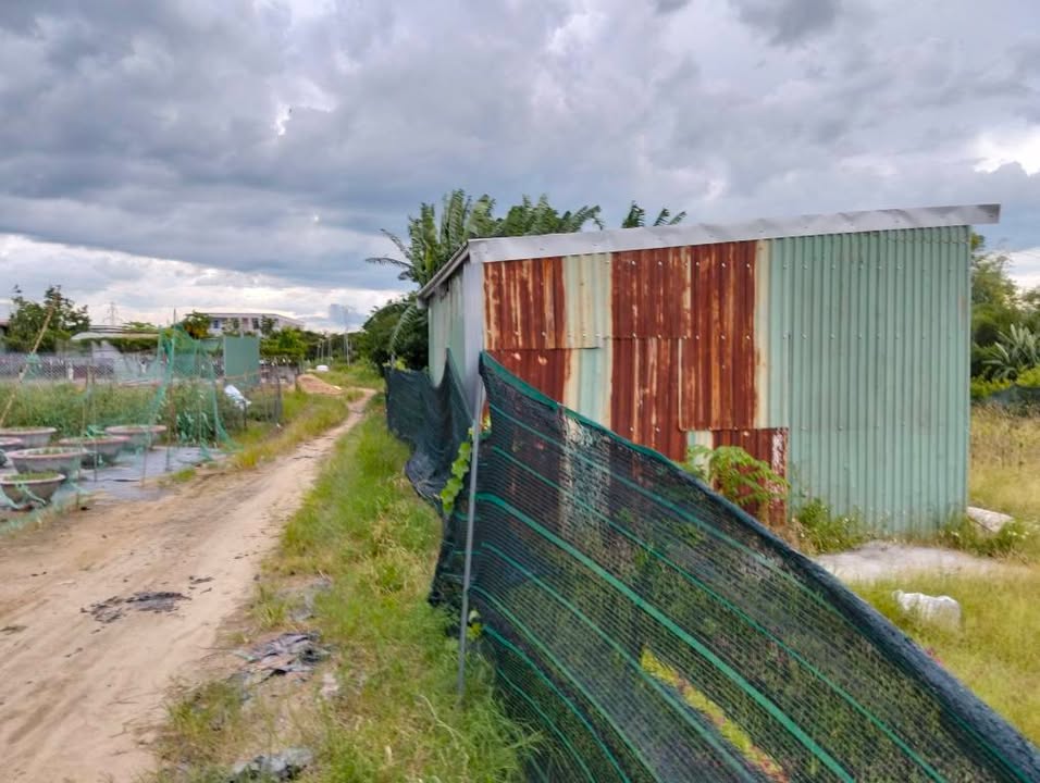 Đất nền Hòa Thọ Tây Đà Nẵng 280m² giá 650 triệu - Sổ đỏ chính chủ, xe tải vào tận nơi!