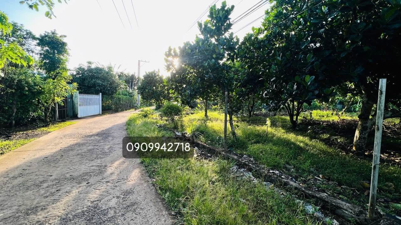 Đất Bình Lộc Long Khánh 150m² giá 650 triệu - Khu dân cư ổn định!