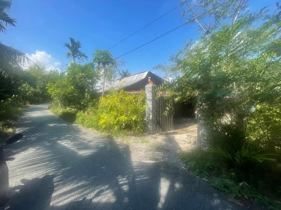 Đất nền nghỉ dưỡng 340m² tại Mỹ Thành Nam, Cai Lậy - Giá chỉ 65 triệu/m ngang!