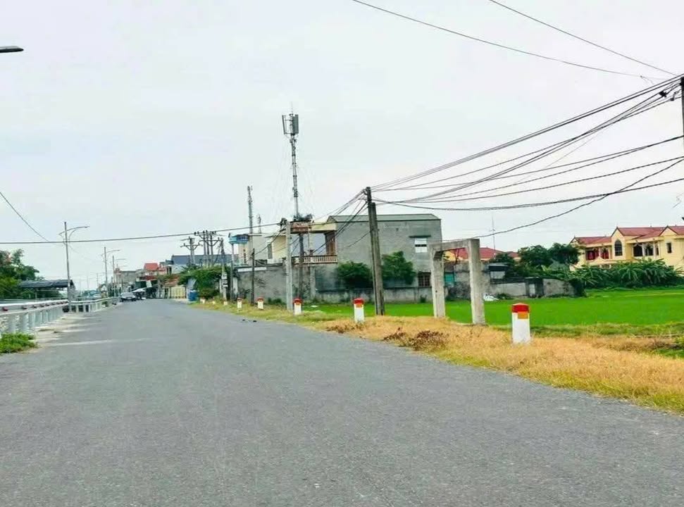 Đất thổ cư Thuần Thành - Thái Thụy 100m² giá chỉ 1.05 tỷ - Cơ hội đầu tư tốt!