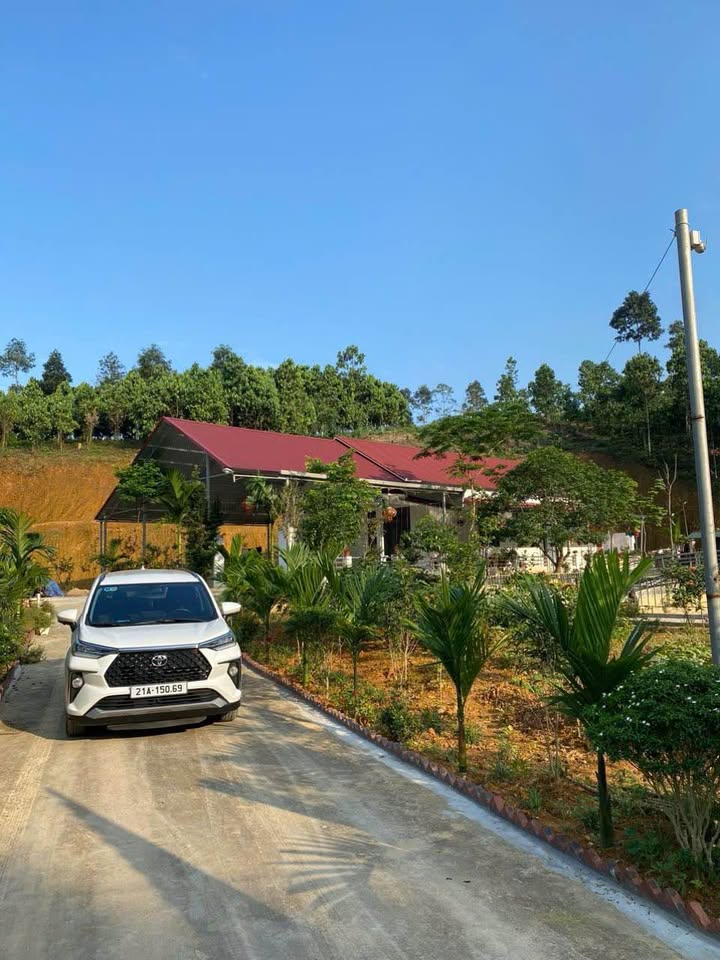 Farm đẹp tại Lương Thịnh, Trấn Yên 2040m² giá 2 tỷ - Thư giãn cuối tuần lý tưởng!