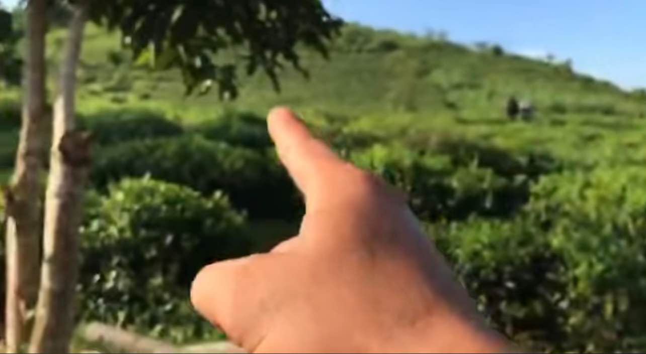 Đất nền thổ cư 2270m² tại Văn Miếu, Thanh Sơn - Cơ hội đầu tư hiếm có!