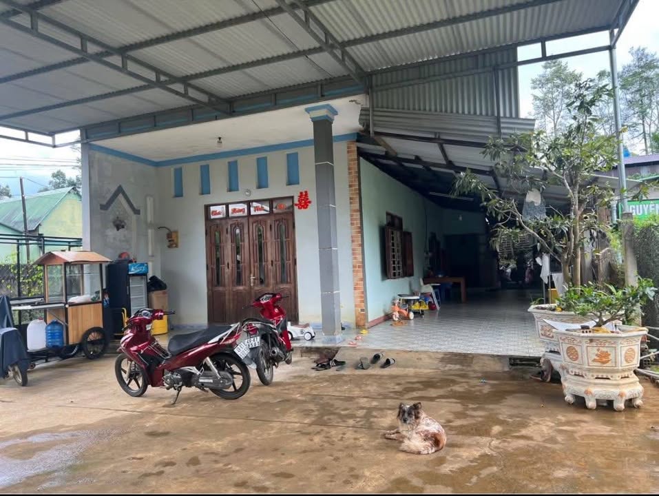 Nhà hẻm 133 đường 1/5, Bảo Lộc 693m² giá 4.95 tỷ - Khu dân cư yên tĩnh, view núi đẹp!