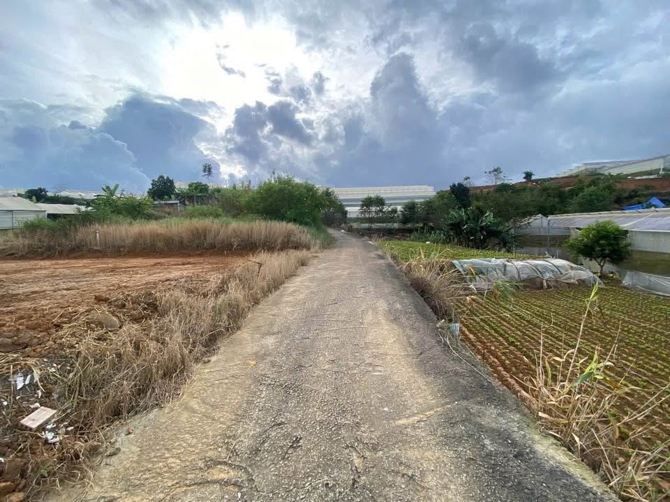 Đất nông nghiệp Phước Thành Đà Lạt 96m² giá 1 tỷ - Đầu tư lâu dài, sẵn móng!