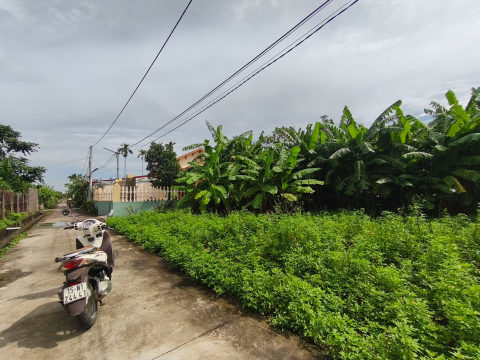 Bán đất Đa Phúc Dương Kinh 52m² - Sổ đỏ chính chủ, giá thỏa thuận