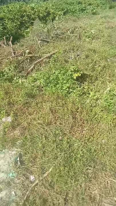 Đất nền Tân Tiến Krông Pắc 1170m² giá chỉ 2.1 tỷ - Đối diện cụm công nghiệp