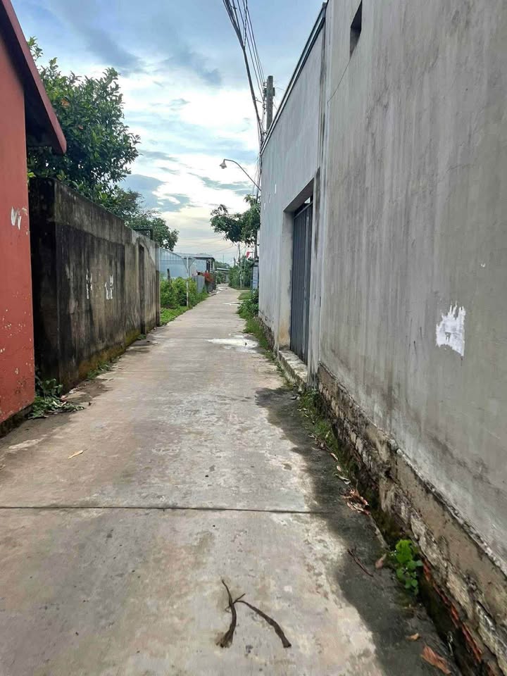 Bán đất thổ cư 252m² tại km128 Phú Thanh, Đồng Nai - Giá chỉ 220 triệu, thương lượng ngay!