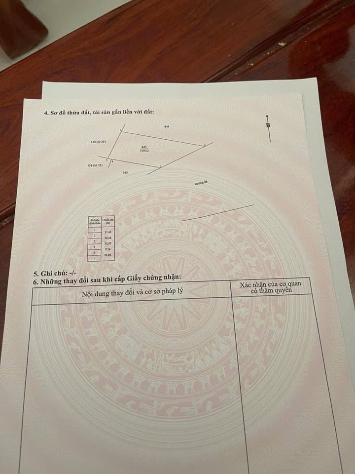 Đất cây trồng lâu năm 1000m² tại Vĩnh Hựu, Gò Công Tây - Giá chỉ 650 triệu VND, thương lượng nhẹ!