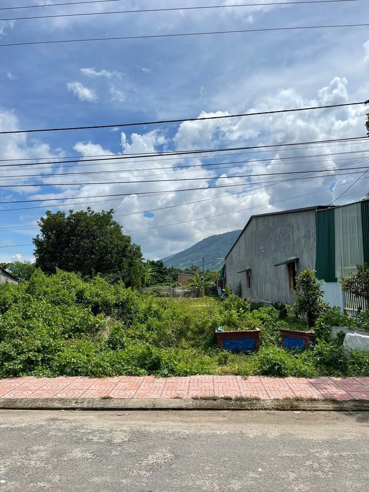 Đất thổ cư mặt tiền đường 9/5, Krông Bông - Diện tích 264m², giá 1.1 tỷ!