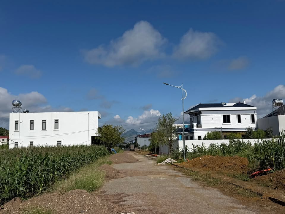 Đất nền TDP 5 phường Mộc Châu 136m² giá chỉ 3 tỷ - Cơ hội đầu tư hấp dẫn!