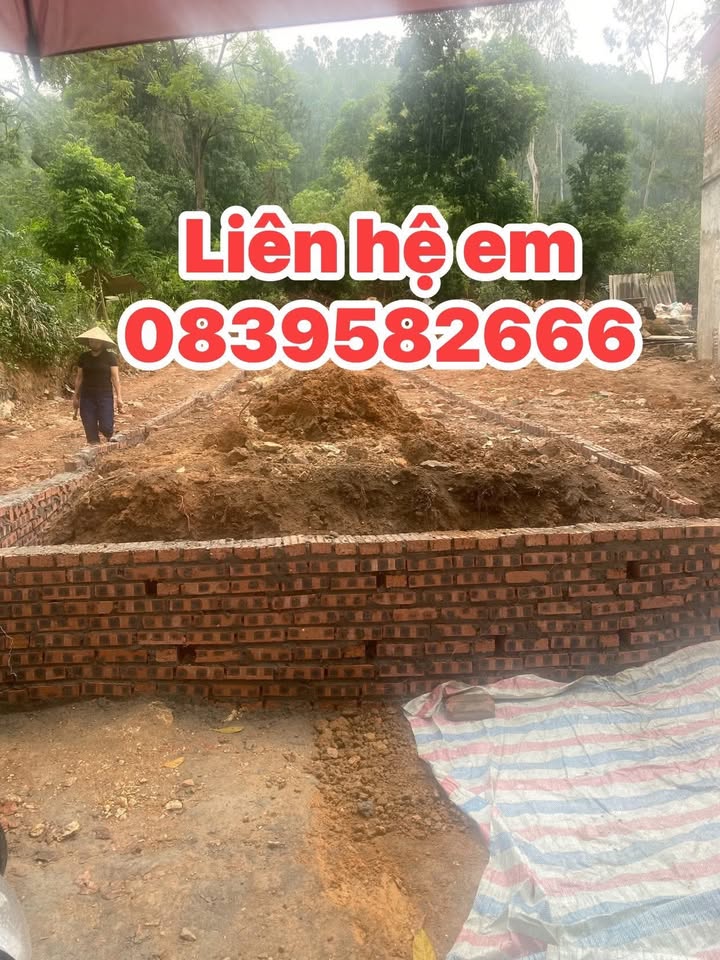 Đất nền tại Liên Bão, Tiên Du, Bắc Ninh 71m² giá 1 tỷ - Cơ hội đầu tư tuyệt vời!