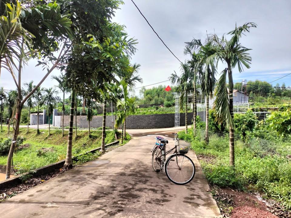 Lô đất Tân Thanh Bắc Giang 400m² giá 420 triệu - Hướng Đông thoáng mát, view đẹp!