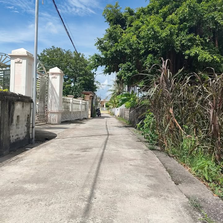 Đất nền Đông Minh, Tiền Hải 146.8m² giá 8xx triệu - Đầu tư sinh lời cao!