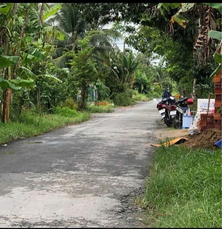 Đất thổ cư Phú Nhuận Bến Tre 293,5m² giá 900 triệu - Xây dựng ngay!