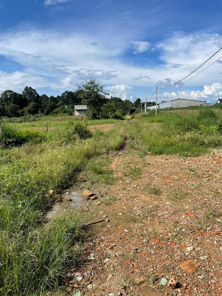 Đất thổ cư Thôn 3, xã Đắk Mar, 270m² - Vị trí đẹp, gần trường học!