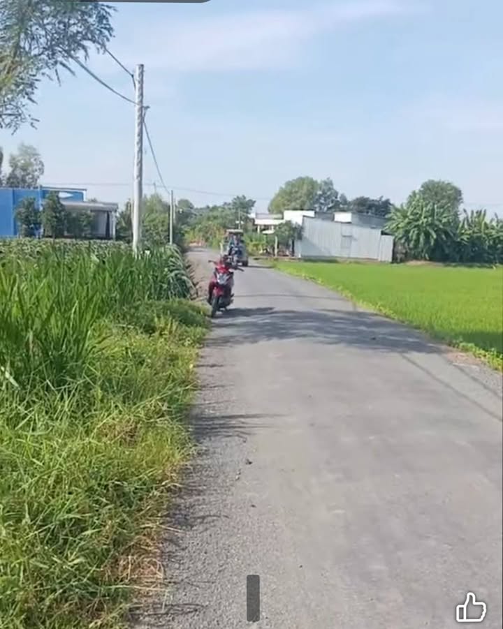 Đất nền Bình Ninh, Gò Công Tây 162.13m² giá 390 triệu - Mặt tiền nhựa, sổ đỏ chính chủ!