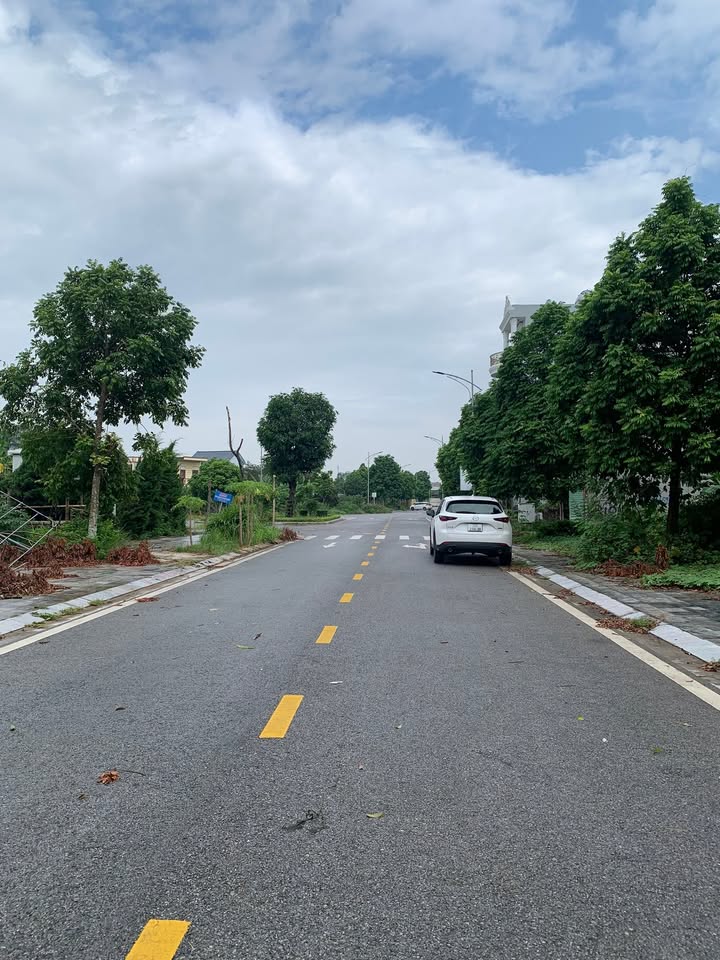 Đất nền dãy D MB199 tại Đông Hải, Thanh Hóa 65m² giá 3.3 tỷ - Cơ hội đầu tư hiếm có!