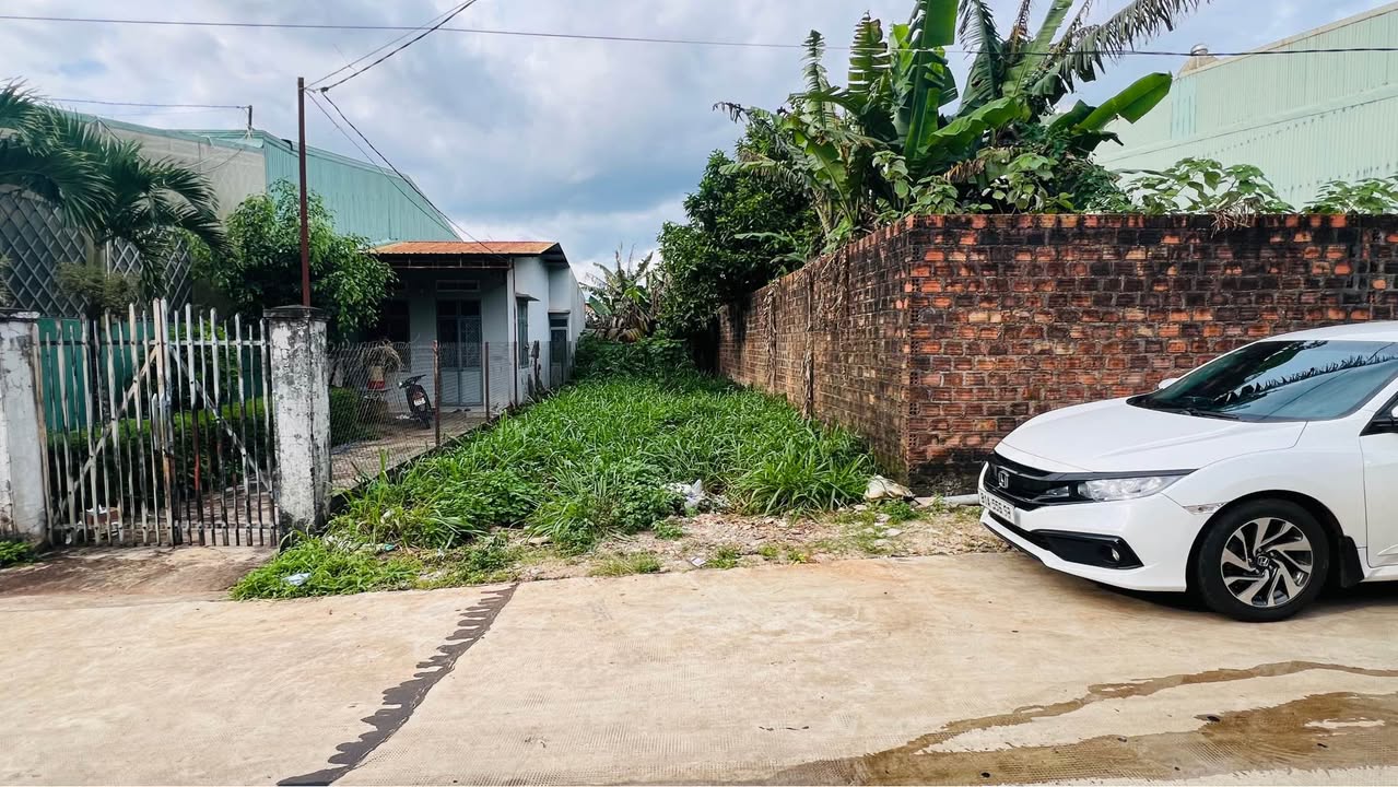 Đất hẻm chính 318 Trường Chinh, phường Hội Phú, 150m² - Giá chỉ 1.49 tỷ!