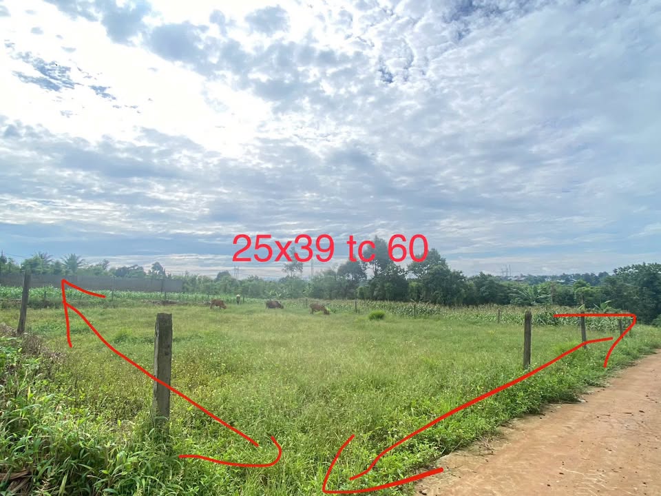 Đất thổ cư 975m² tại Thôn 4, Buôn Ma Thuột, giá 3.5 tỷ - Cơ hội đầu tư sinh lợi!