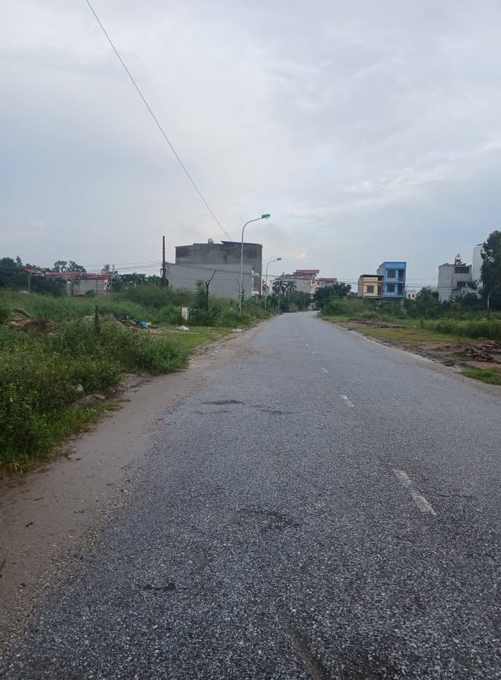 Đất nền Tam Tảo, Phú Lâm 95m² giá thỏa thuận - Cơ hội vàng không thể bỏ lỡ!